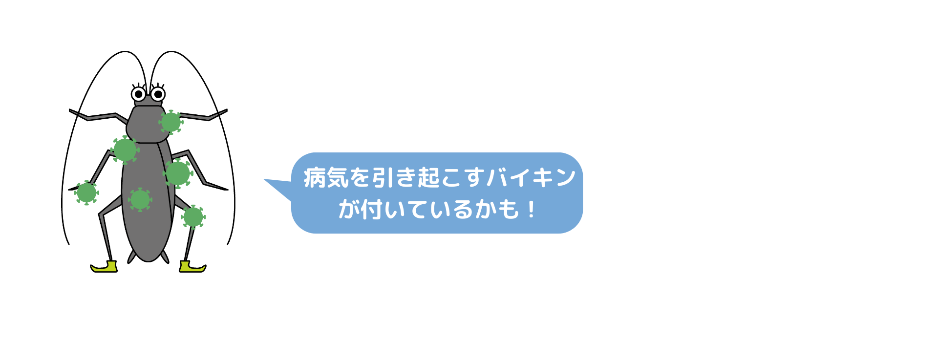 ゴキブリに付着する病原菌